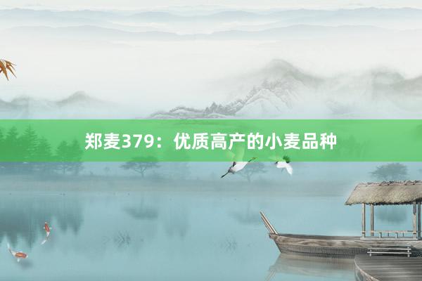 郑麦379：优质高产的小麦品种